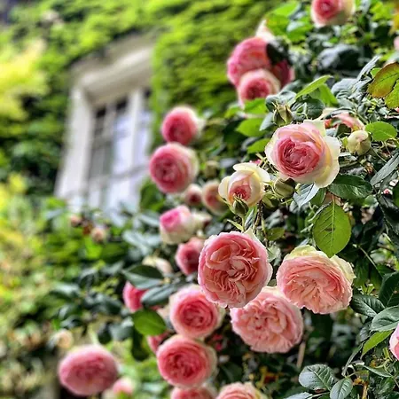 Dei Papi Boutique 4* Viterbo