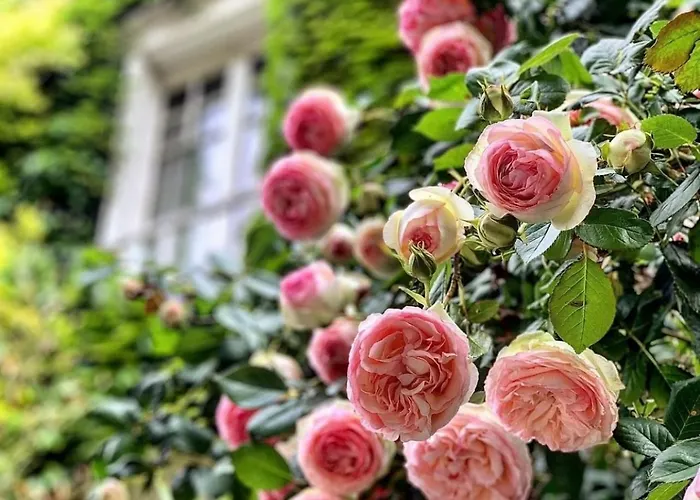 Dei Papi Boutique 4* Βιτέρμπο