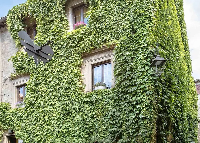 Dei Papi Boutique Βιτέρμπο